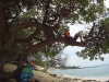 Kicking back on the beach